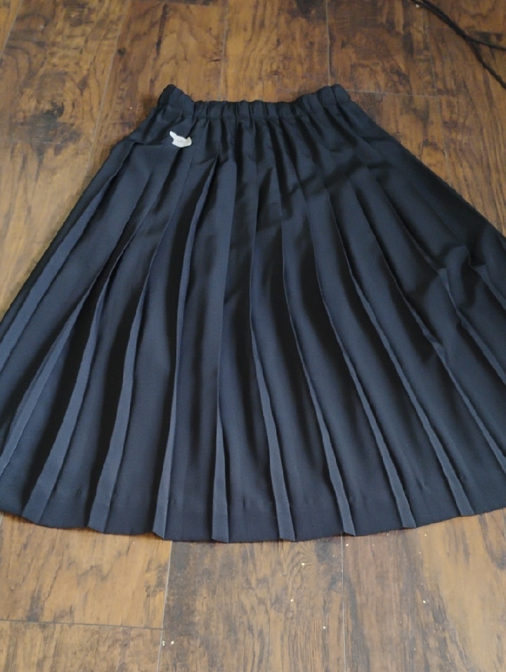 Susan Bristol Black Pleated A-Line Skirt